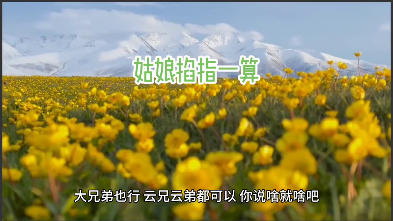 《3》下载番茄小说阅读全文《姑娘掐指一算》