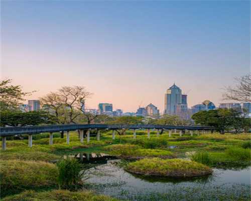 什么值得玩：《火影》手游来袭｜精品RPG《双子传说》