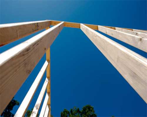 荒野大镖客2前期用什么马？马匹坐骑推荐