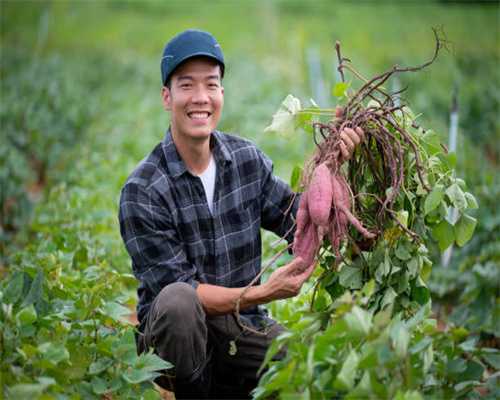 魔域学着传奇手游化炒冷饭？不，《魔域手游2》做到了推陈出新