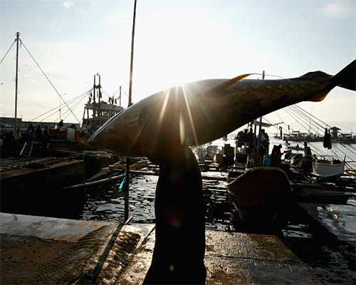 2016年度游侠单机游戏风云榜 “粉丝最爱奖”揭晓！