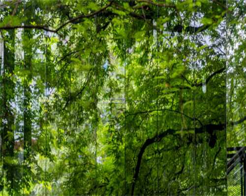 最火的h5传奇手游，战神霸业《双端》,手机在线传奇世界手游