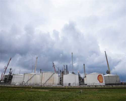 彩虹岛手游，全网独家新版本更新内容预告