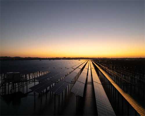 梦幻西游：无符法伤1900，速度600才有资格挂机，175级那么卷吗？