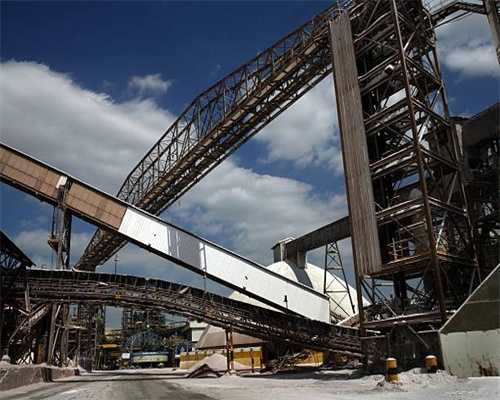 《动物园之星》已在Steam解锁发售 标准版售价180元