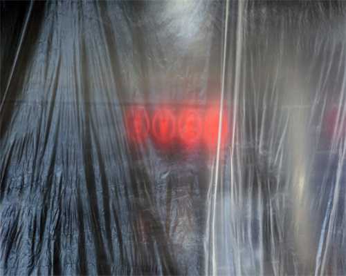 必看，为什么喵星人不爱洗澡？那是因为洗完澡就会暴露它真实身份