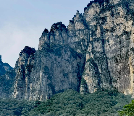钻漏洞玩网游！暑期未成年人沉迷网游问题调查