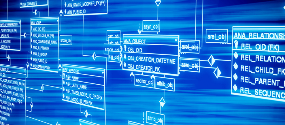 去民政局离婚，工作人员是嫂子，结果她看着我和妻子